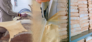 GMwebPhoto_prodlavdist